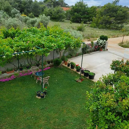 Apartmani Zarko Vir Exterior photo